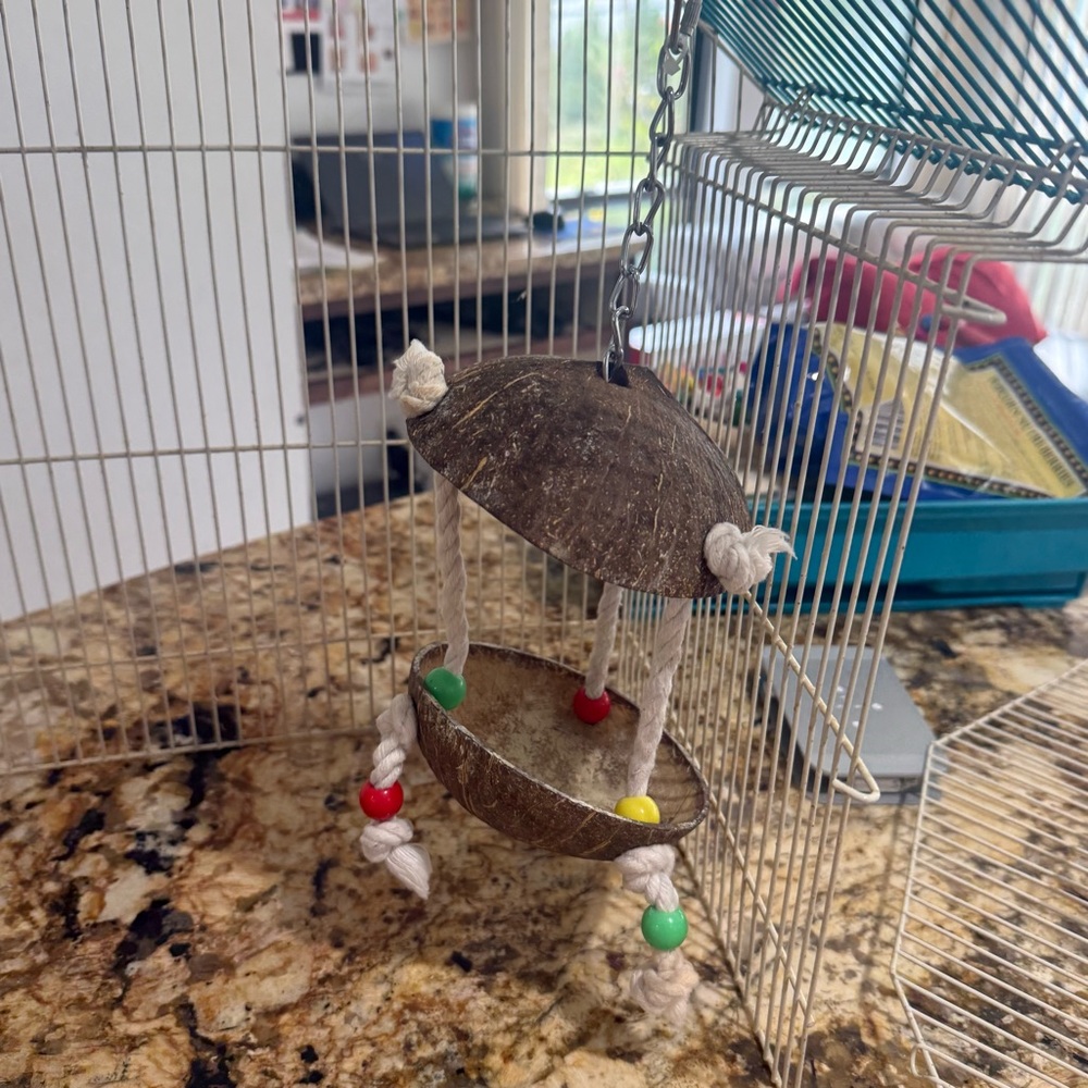Natural Coconut Bird Toy with Colorful Rope - Picture 7 of 7